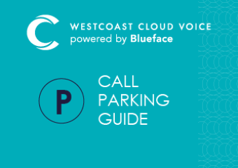CALL PARKING GUIDE